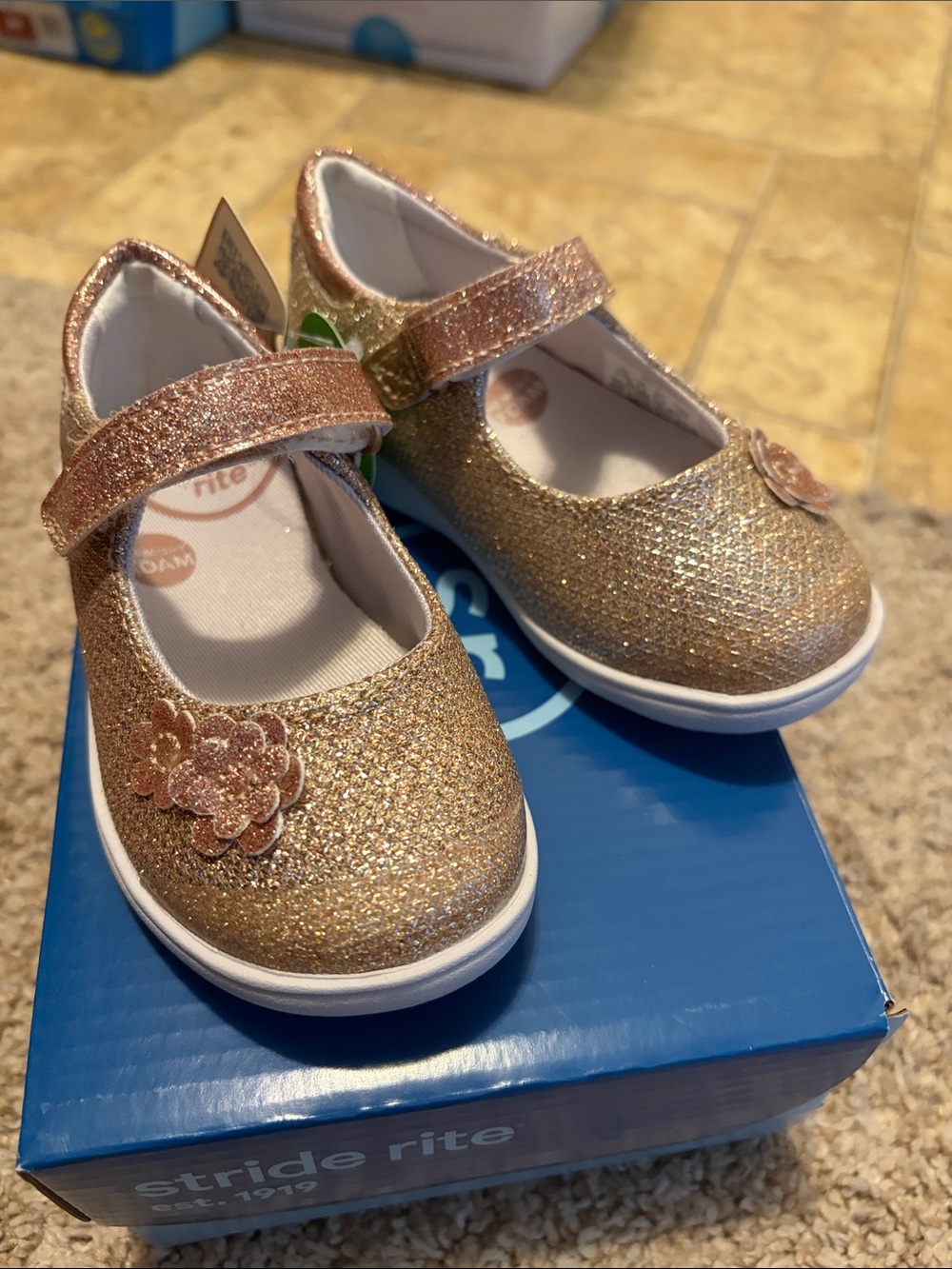 Stride Rite Holly Rose Gold Toddler Mary Jane Shoes